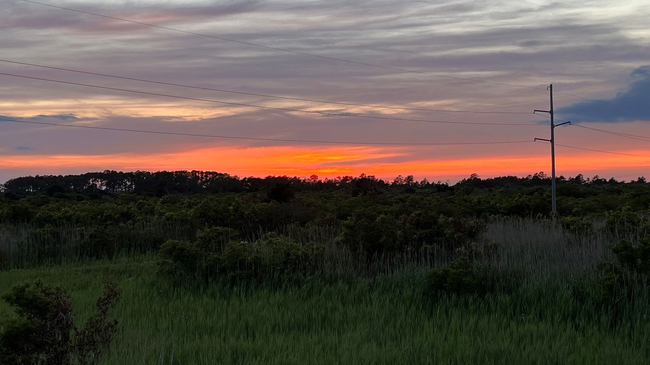Photo of Others in South Nags Head