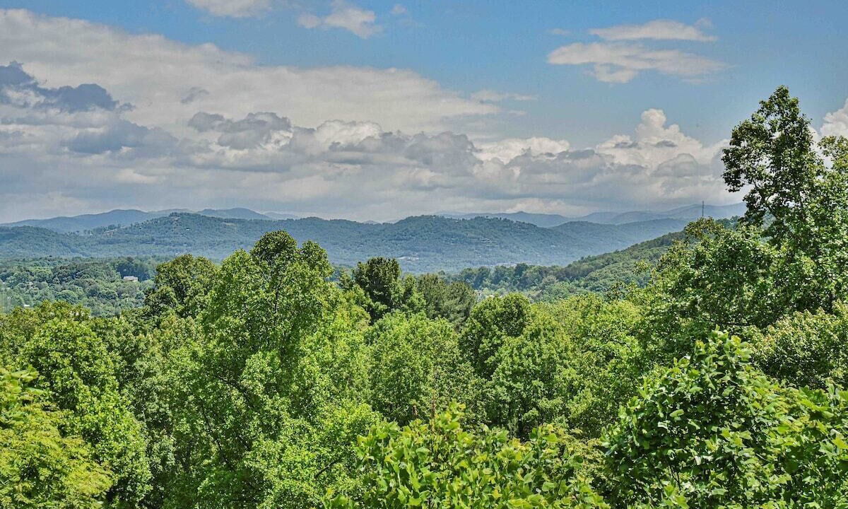 Photo of Others in Asheville