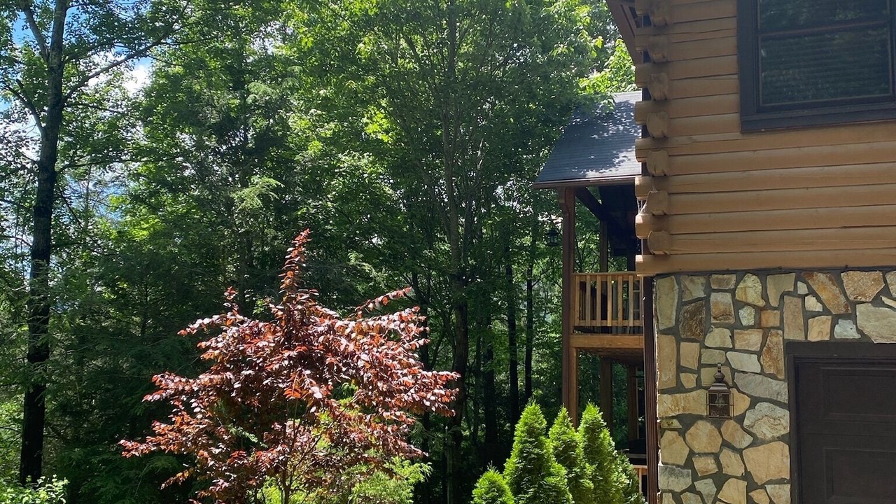 Photo of Outdoor in Waynesville
