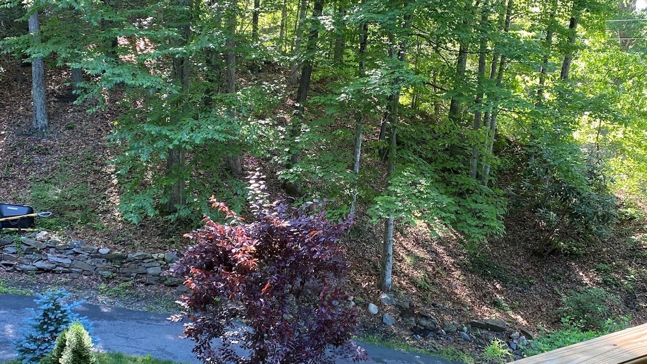 Photo of Outdoor in Waynesville