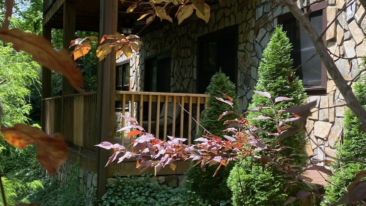 Photo of Outdoor in Waynesville