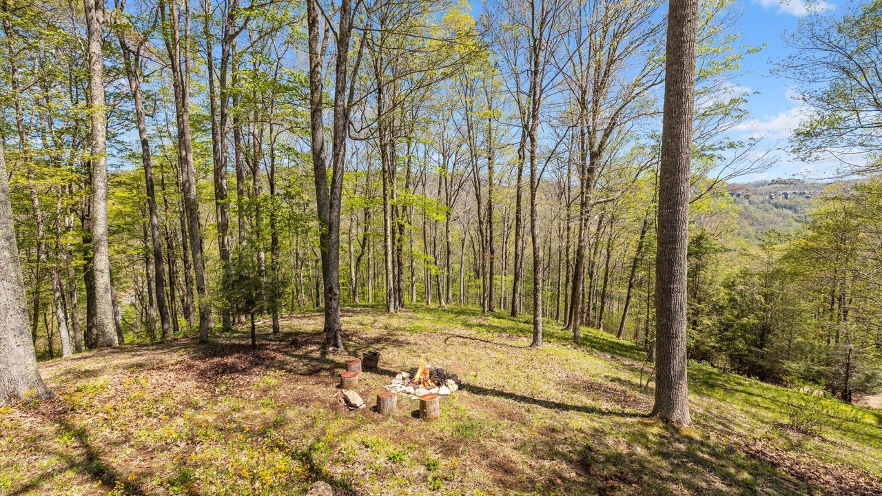 Photo of Outdoor in Wolf Laurel