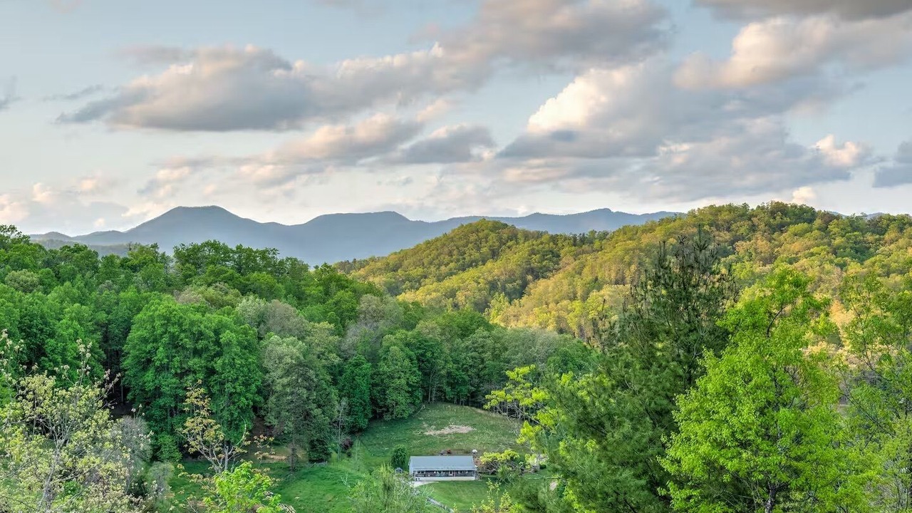 Photo of Others in Sylva