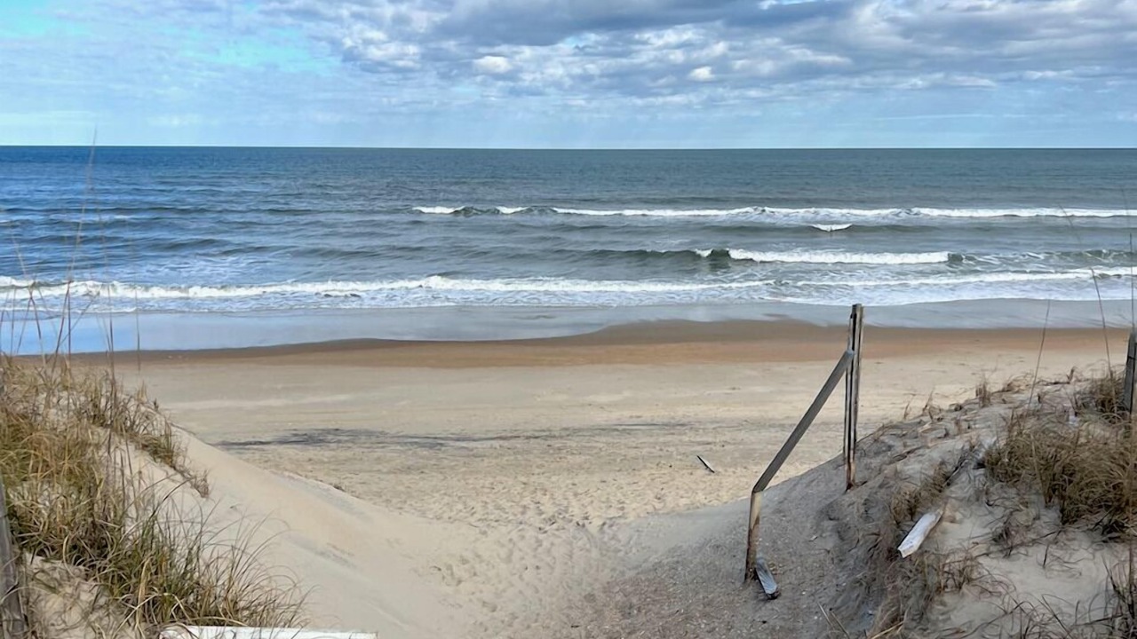 Photo of Others in Carolina Dunes