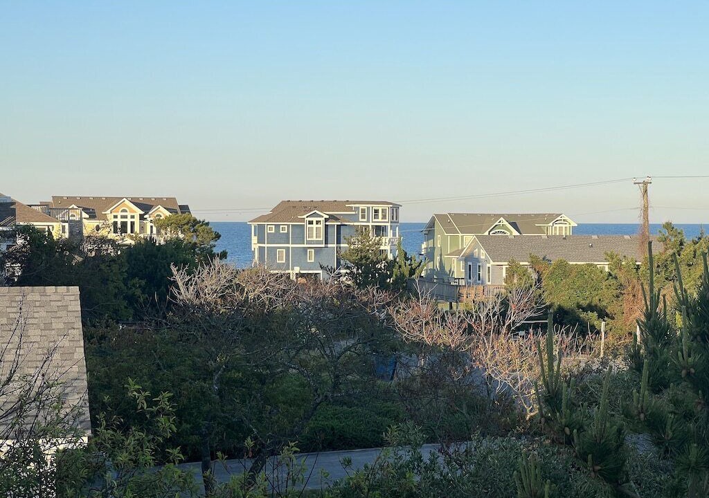 Photo of Others in Carolina Dunes