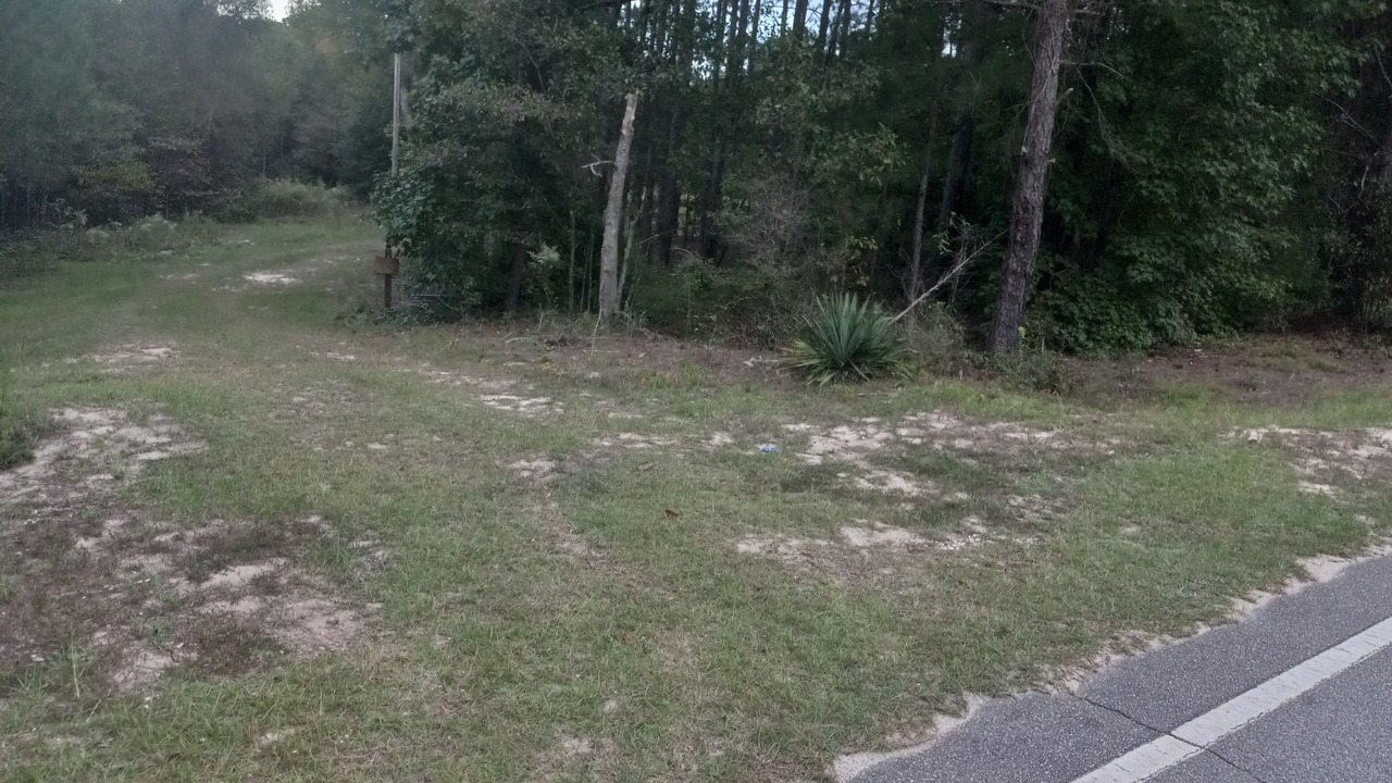 Photo of Outdoor in Cordova