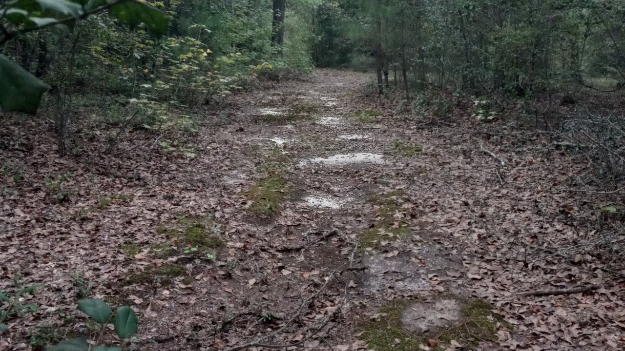 Photo of Outdoor in Cordova