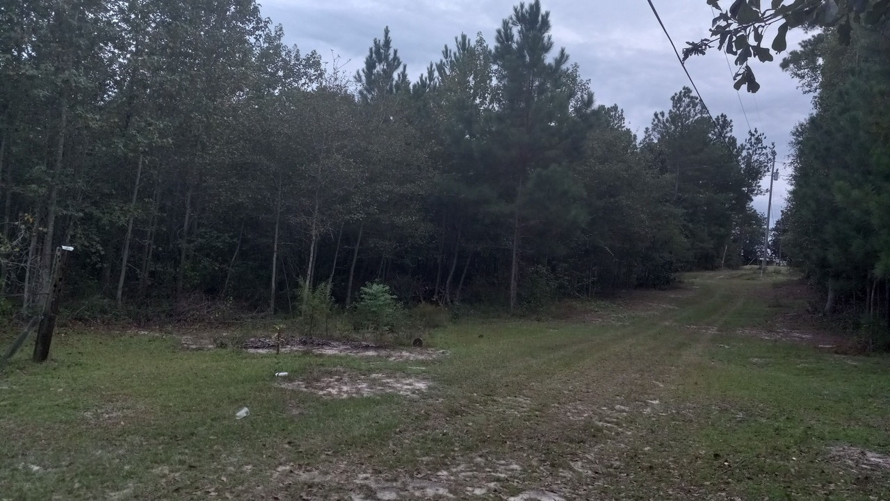 Photo of Outdoor in Cordova