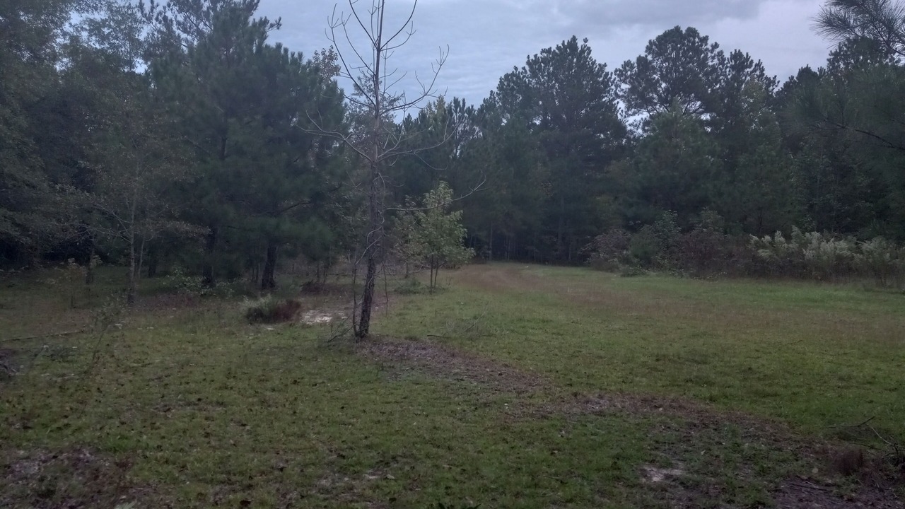 Photo of Outdoor in Cordova