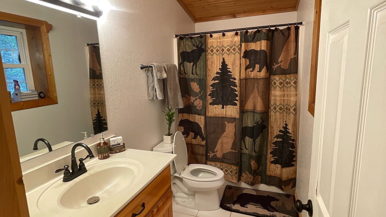 Photo of Bathroom in Topton