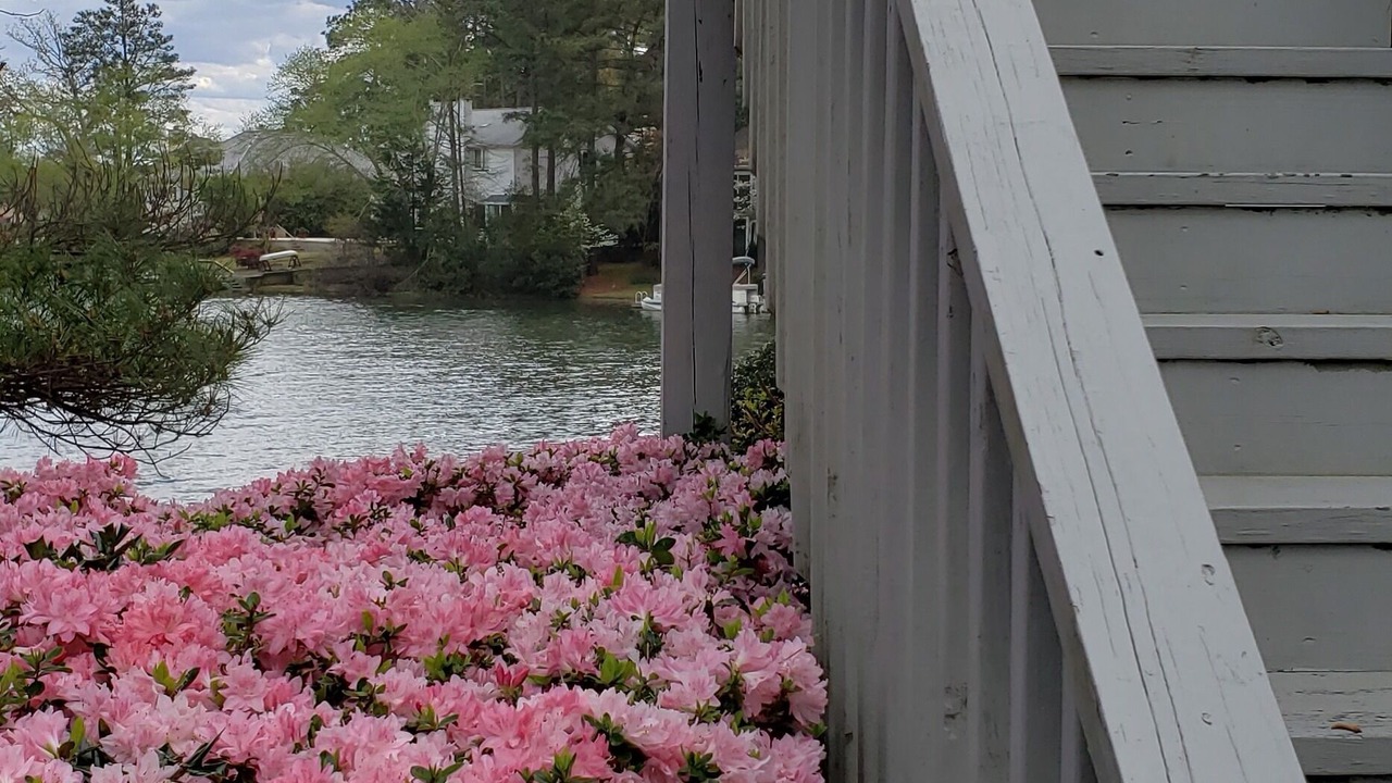 Photo of Outdoor in Pinehurst