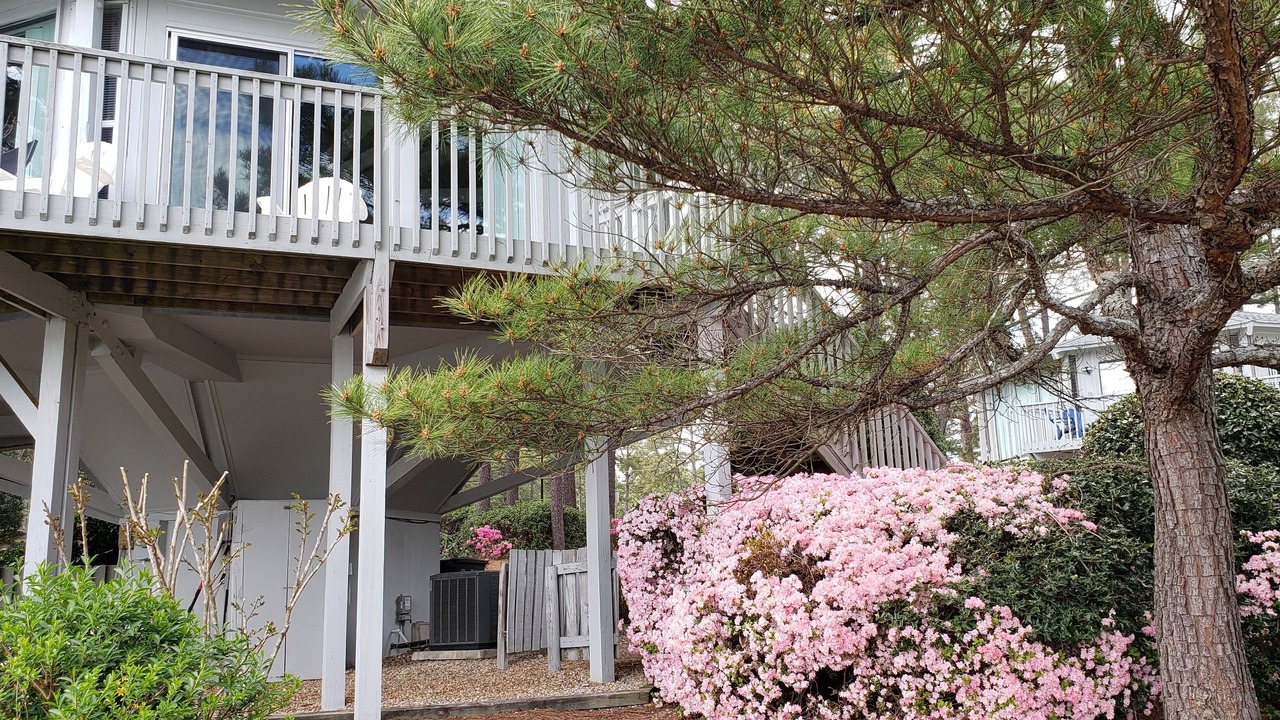 Photo of Outdoor in Pinehurst