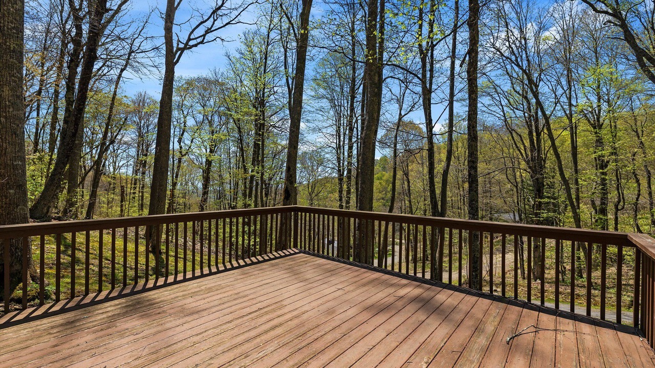 Photo of Outdoor in Wolf Laurel