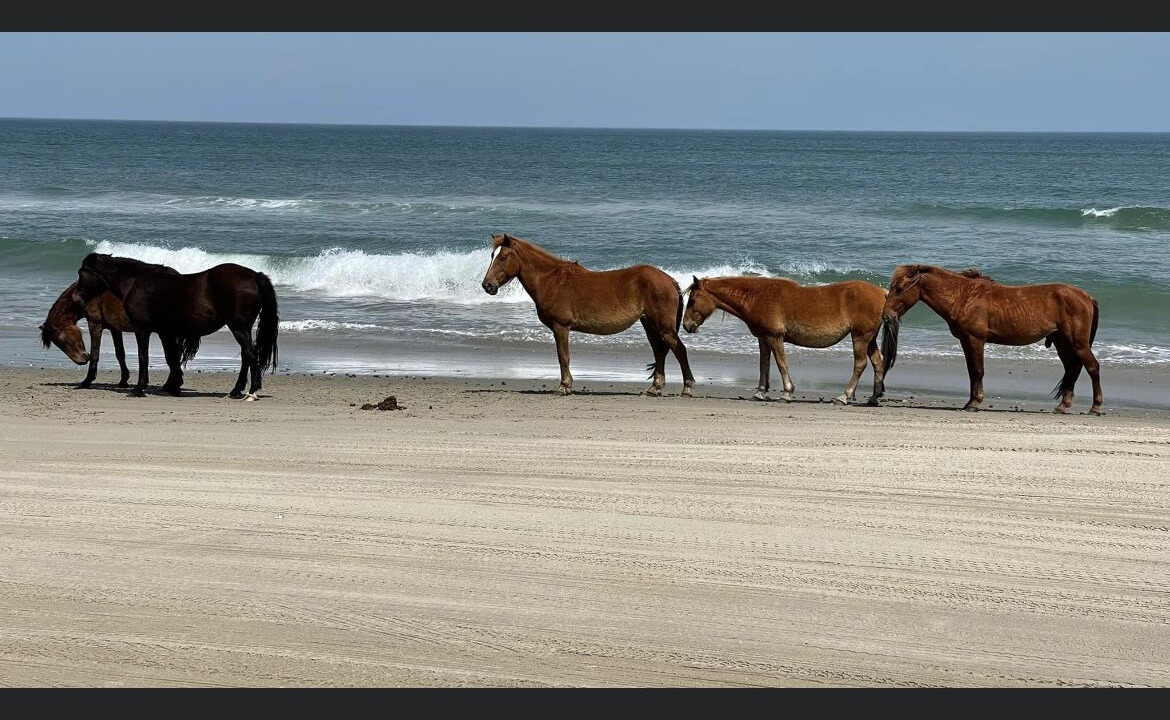 Photo of Others in Whalehead Beach