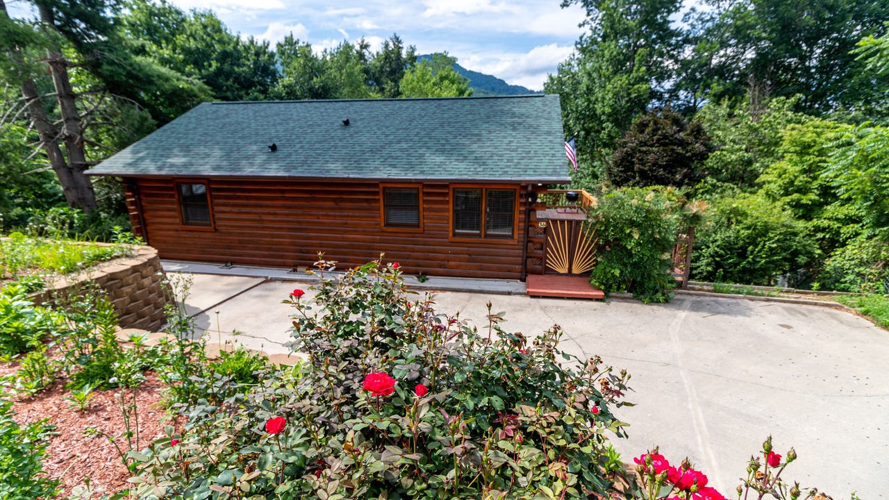 Photo of Outdoor in Waynesville