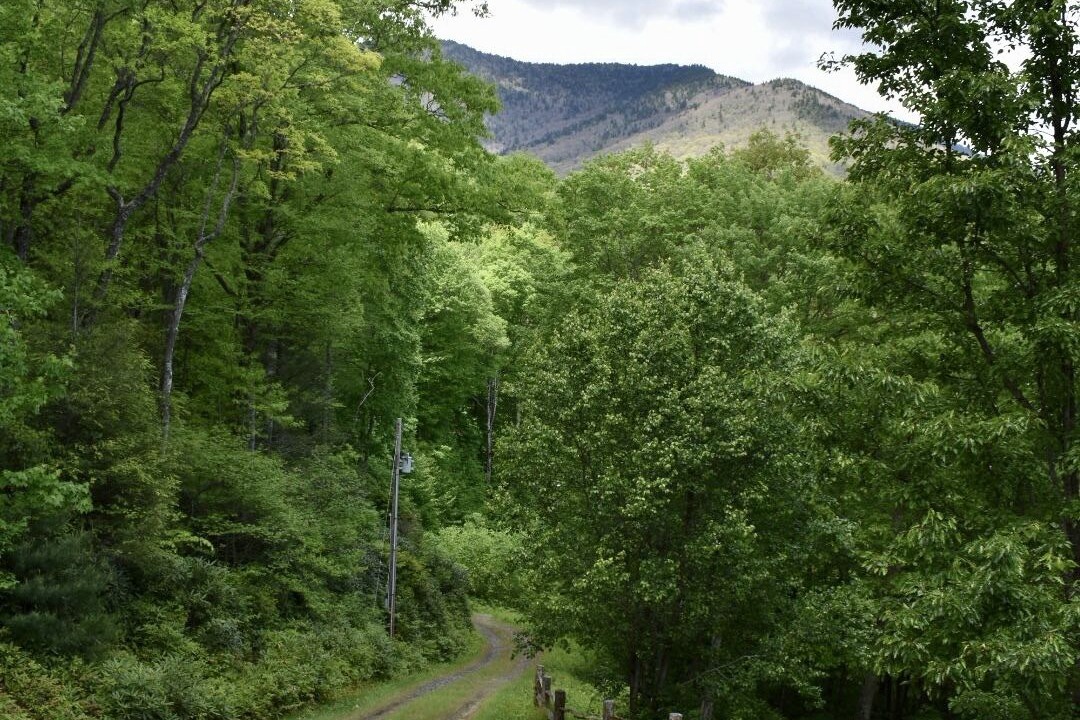 Photo of Outdoor in Burnsville