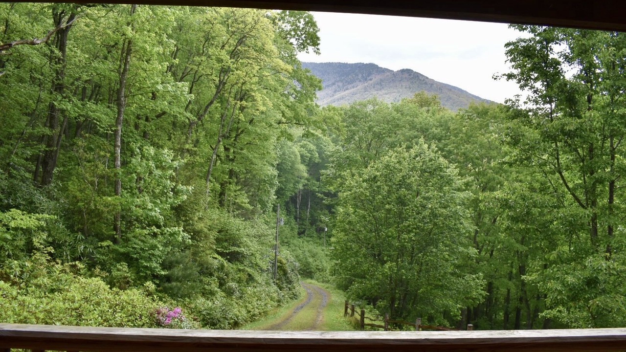 Photo of Outdoor in Burnsville