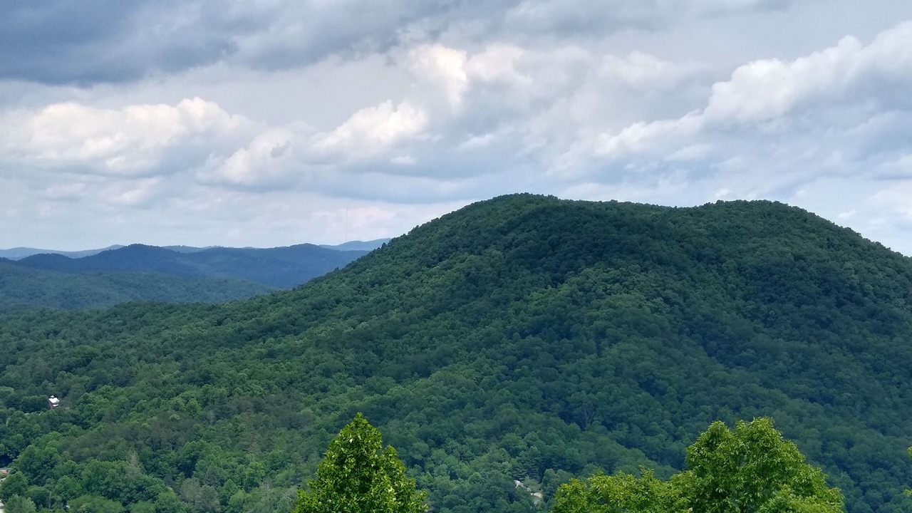 Photo of Others in Rosman