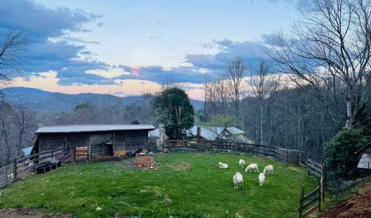 Photo of Outdoor in Green Mountain
