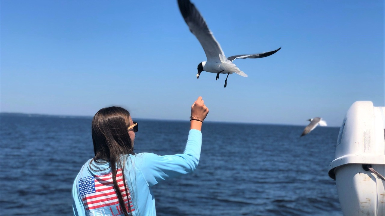Photo of Others in Minnesott Beach
