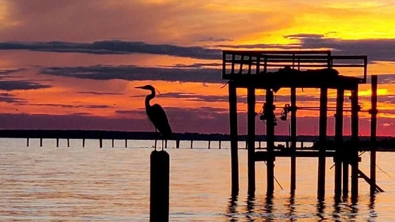 Photo of Others in Minnesott Beach