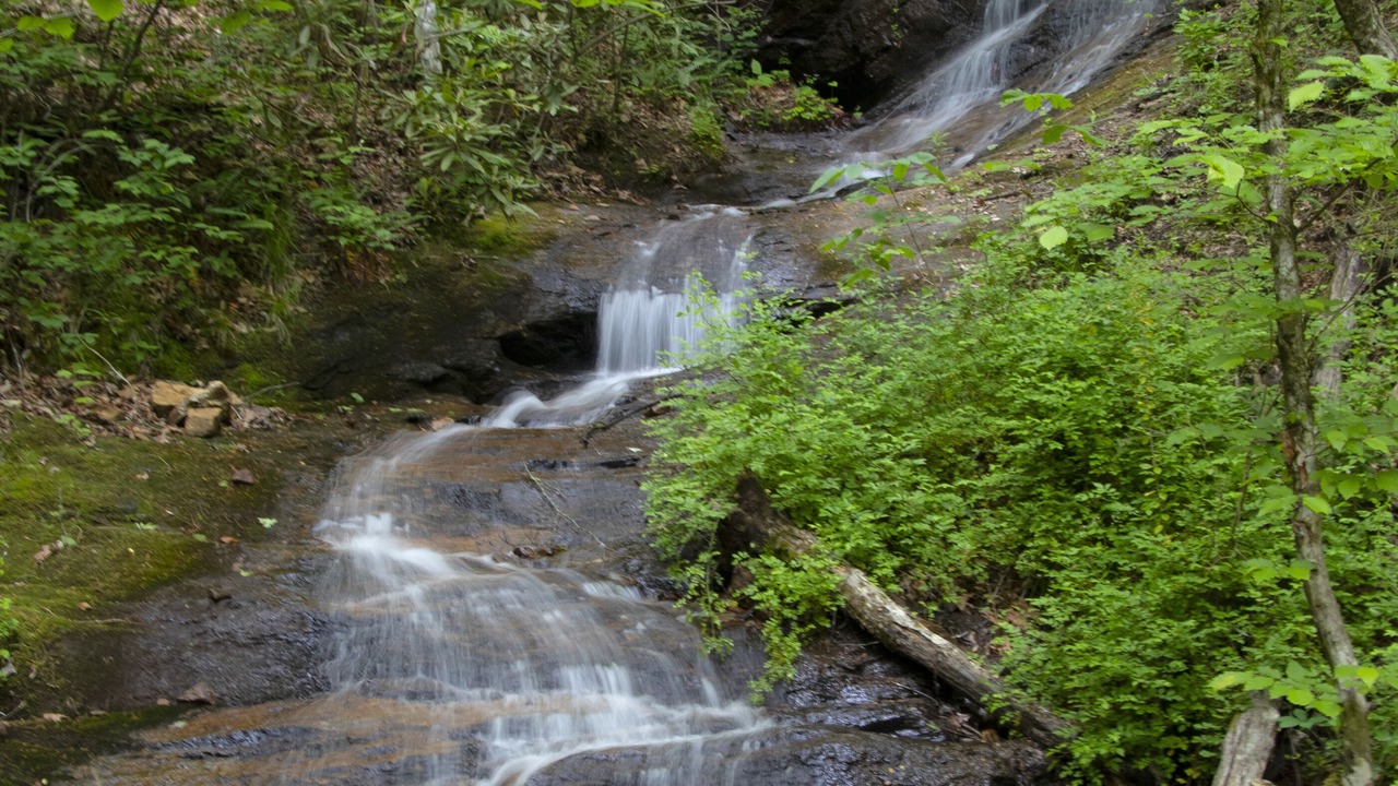 Photo of Others in Franklin