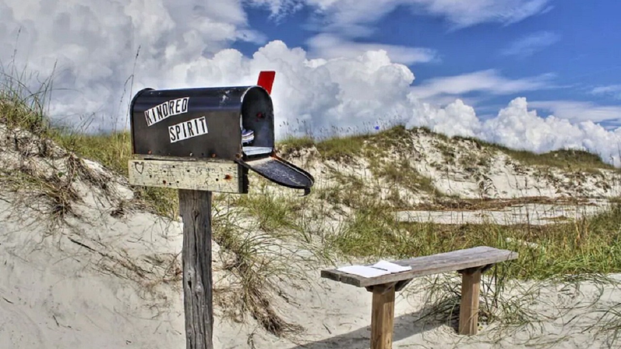 Photo of Others in Sea Trail