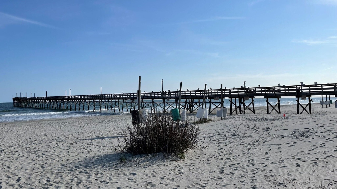 Photo of Others in Sea Trail