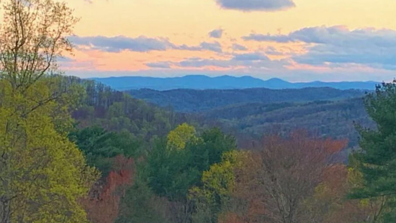 Photo of Outdoor in Traphill