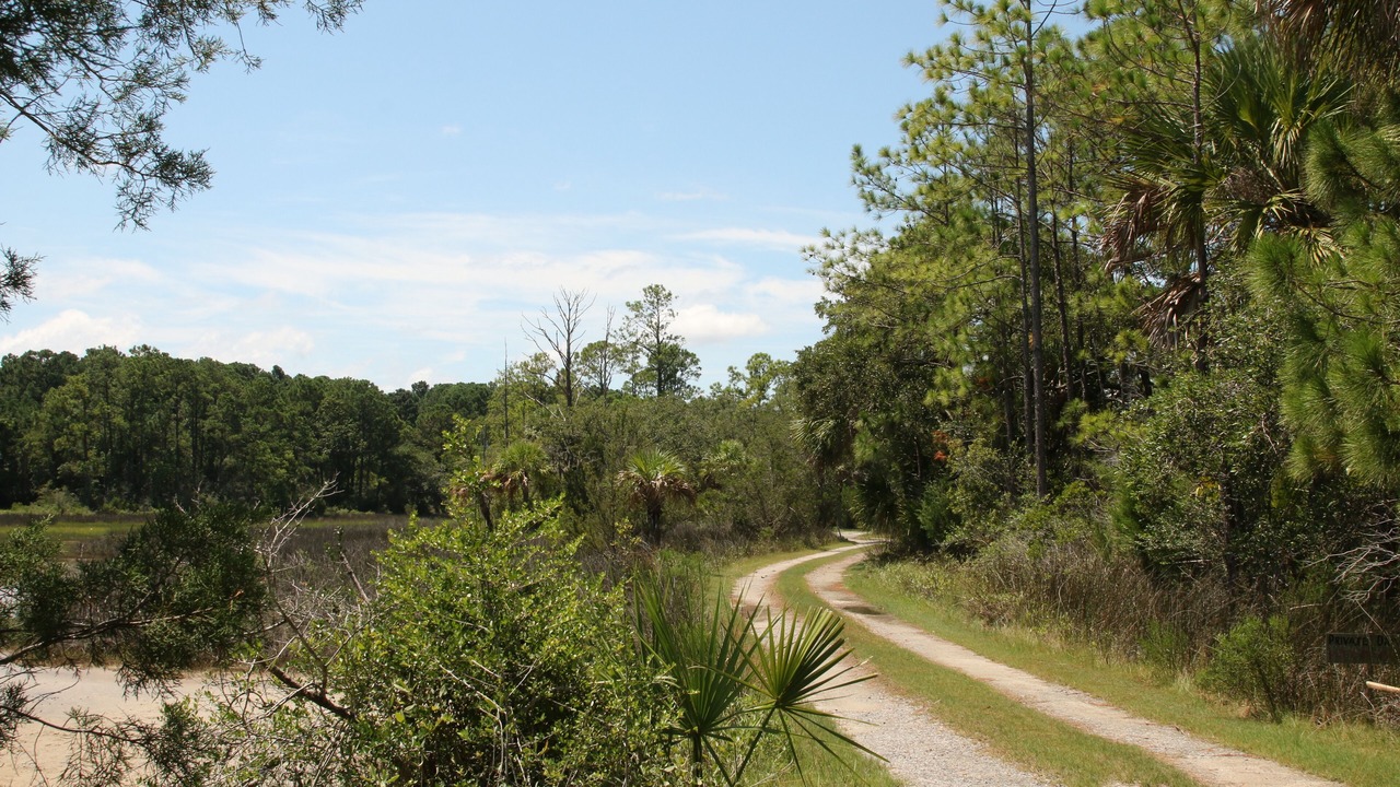 Photo of Others in Beaufort
