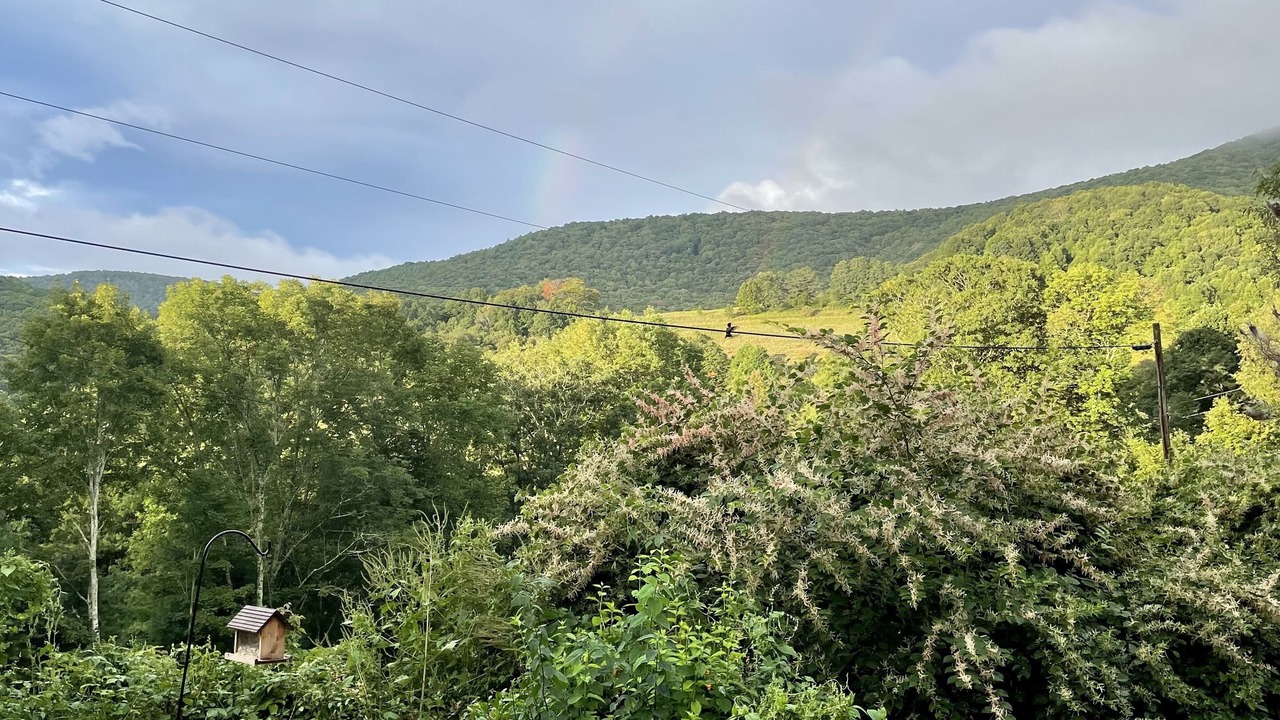 Photo of Outdoor in Todd