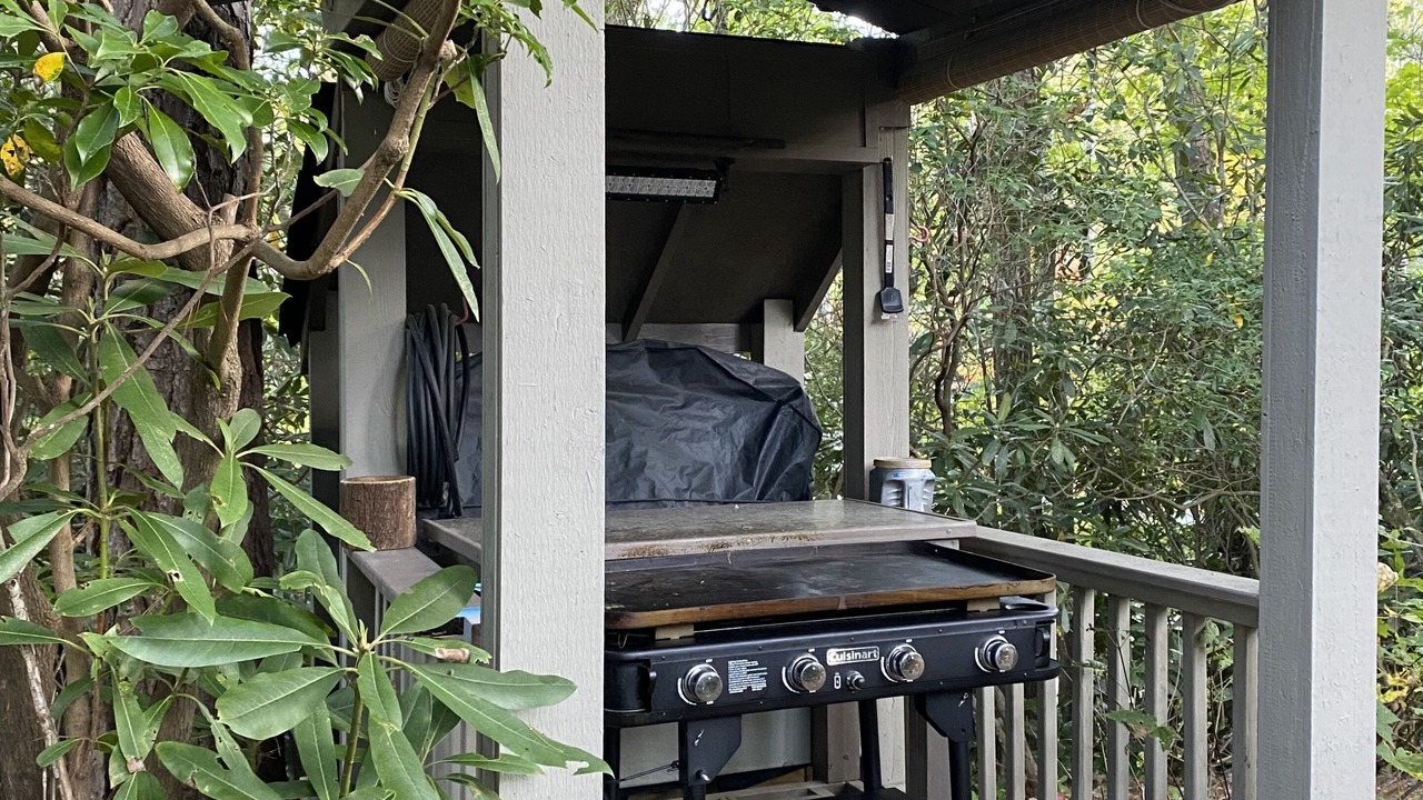 Photo of Patio Balcony in Lake Toxaway
