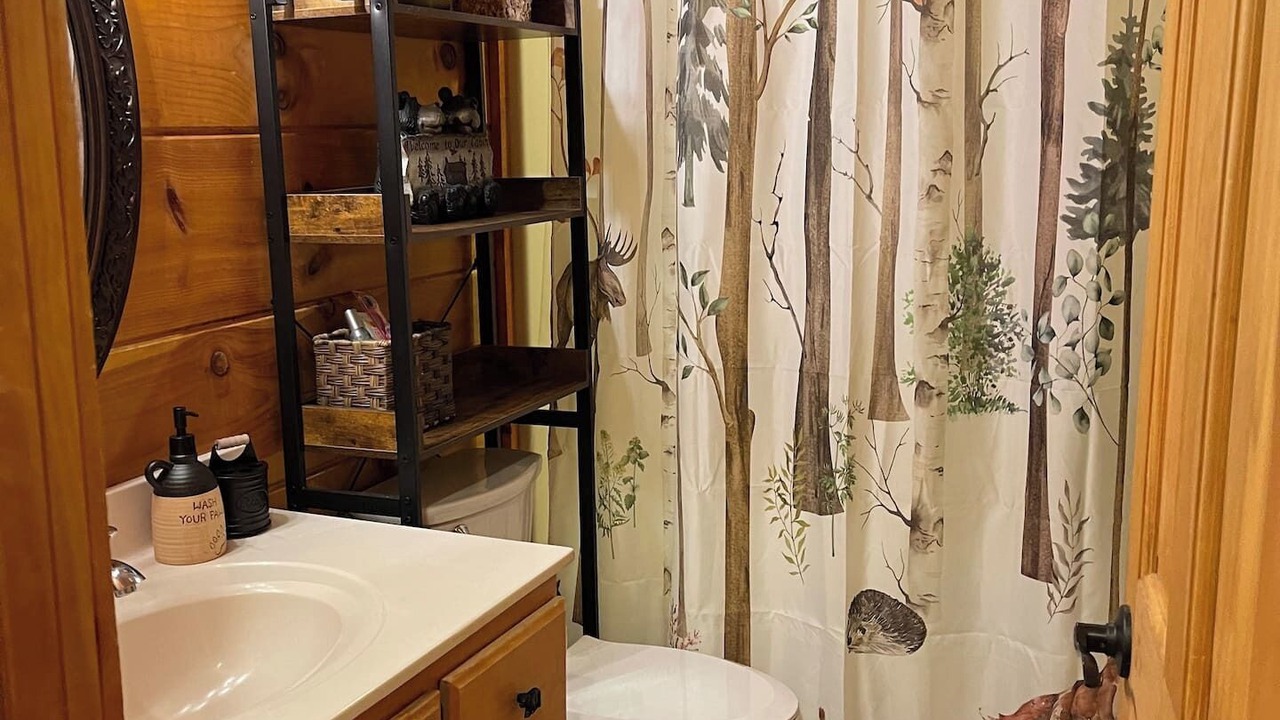 Photo of Bathroom in Boone