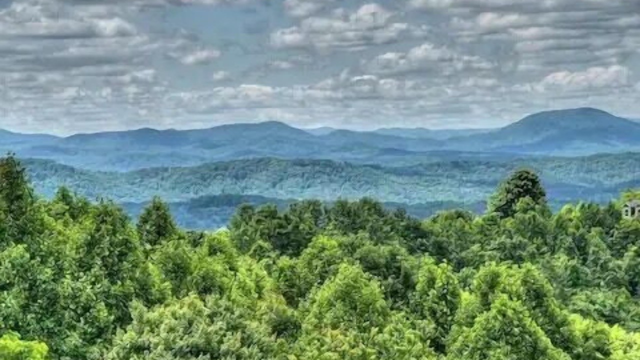 Photo of Others in Murphy