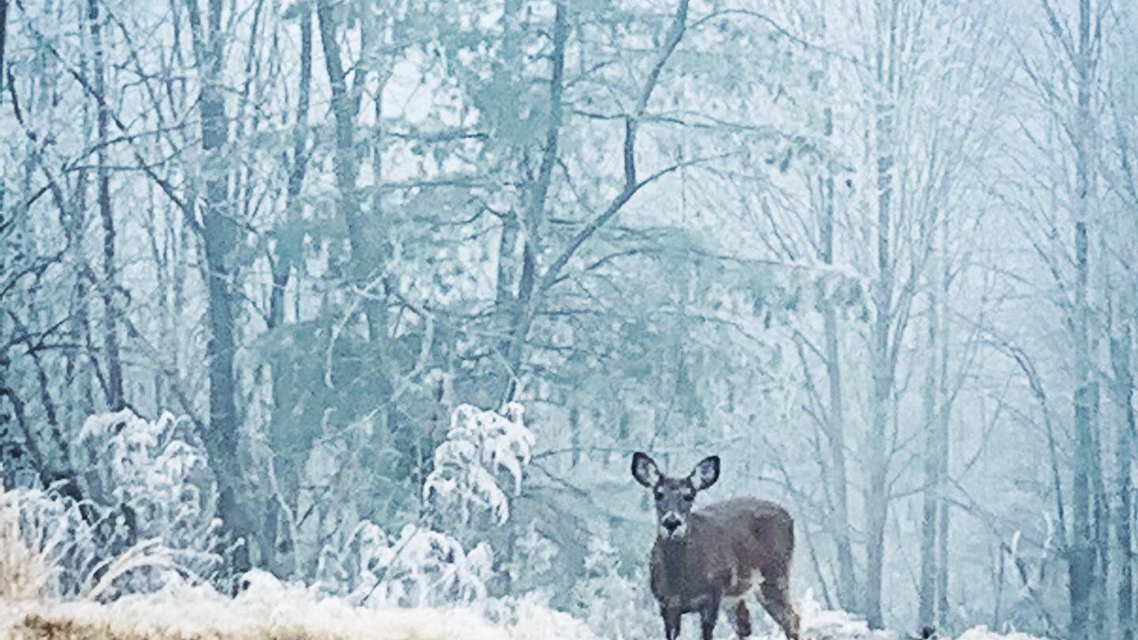 Photo of Others in Murphy