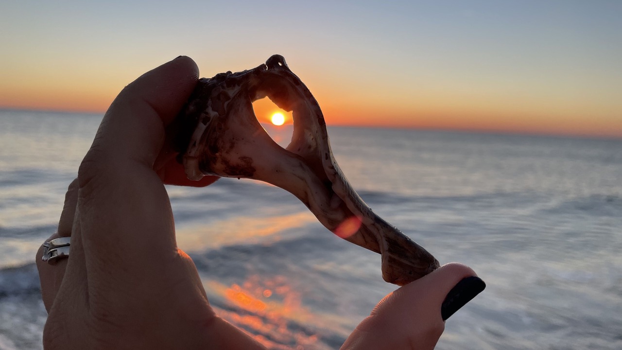 Photo of Others in Wilmington Beach