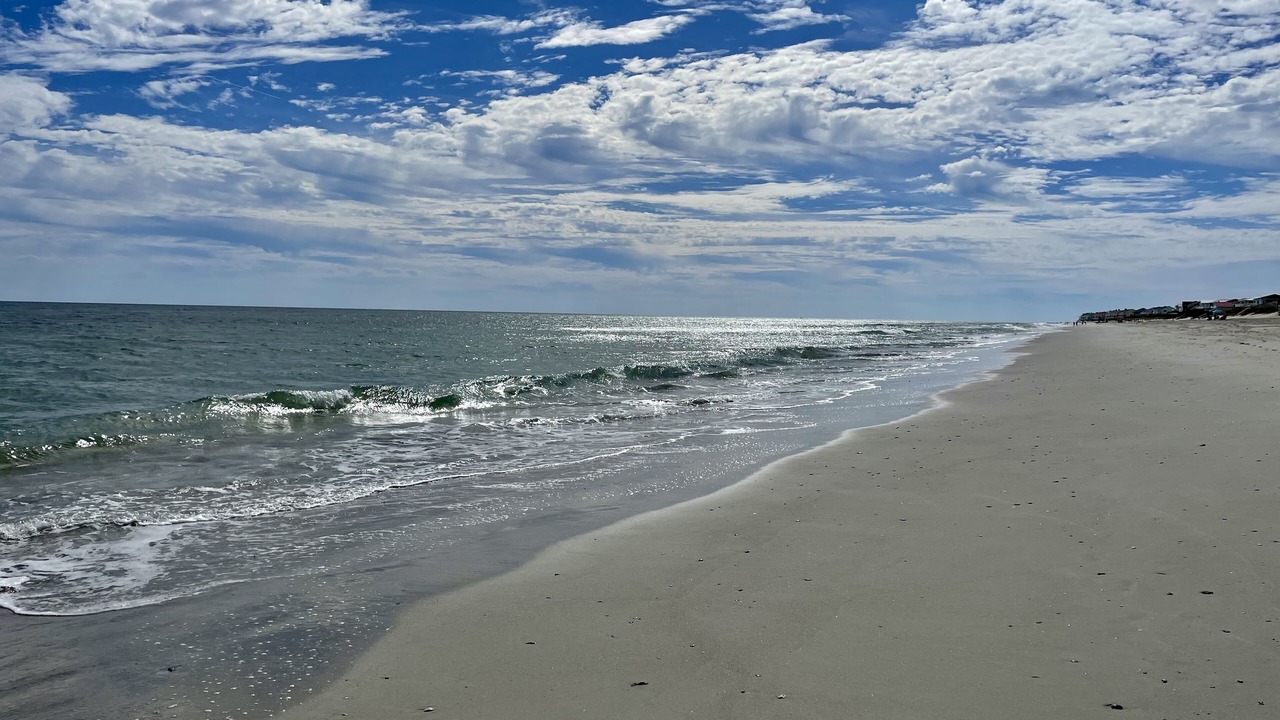 Photo of Others in Wilmington Beach