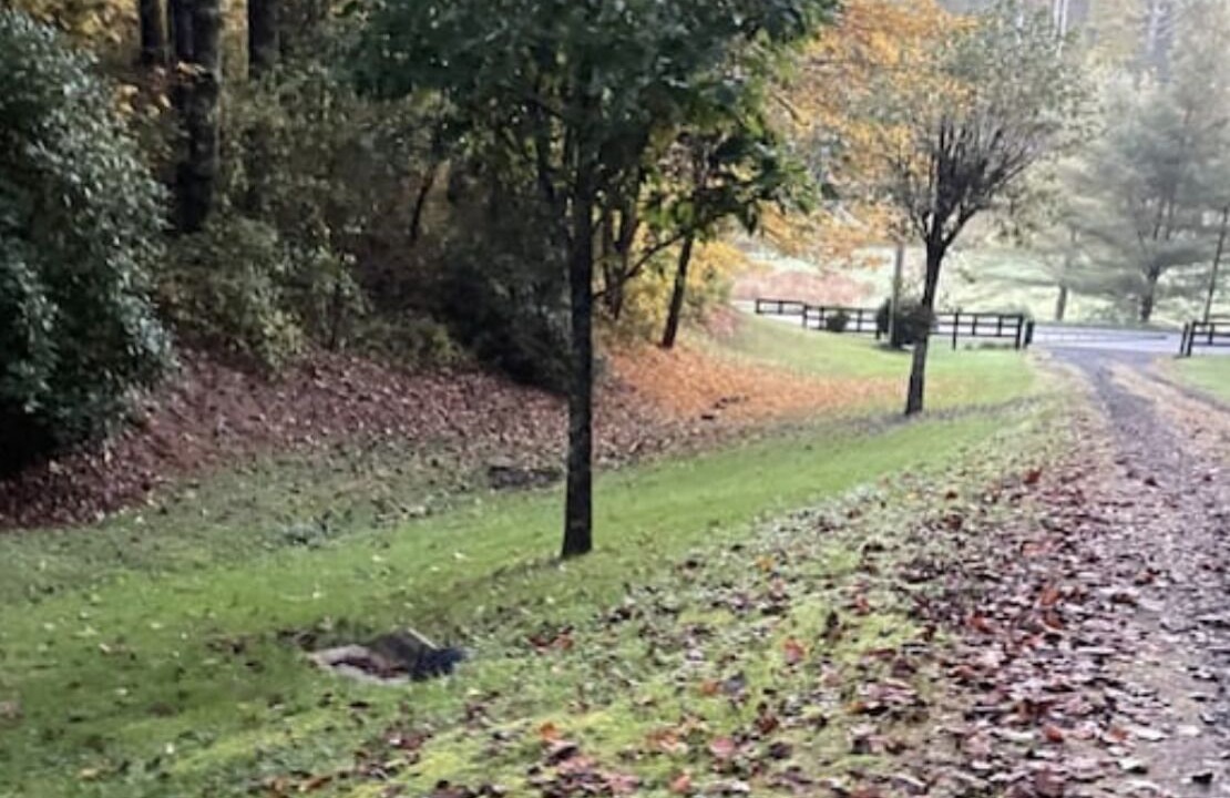 Photo of Outdoor in Altamont