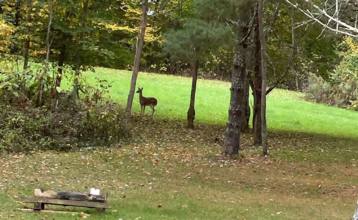 Photo of Outdoor in Altamont