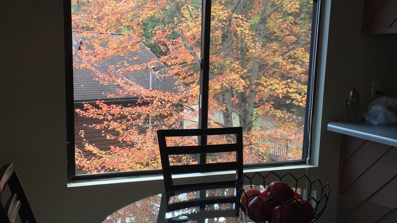 Photo of Others in Lake Toxaway