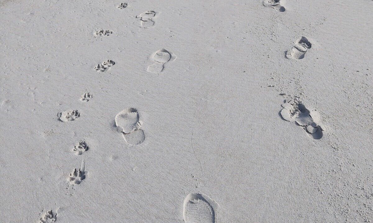Photo of Others in Ocean City Beach