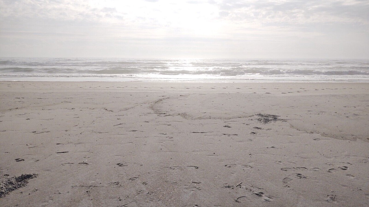 Photo of Others in Ocean City Beach