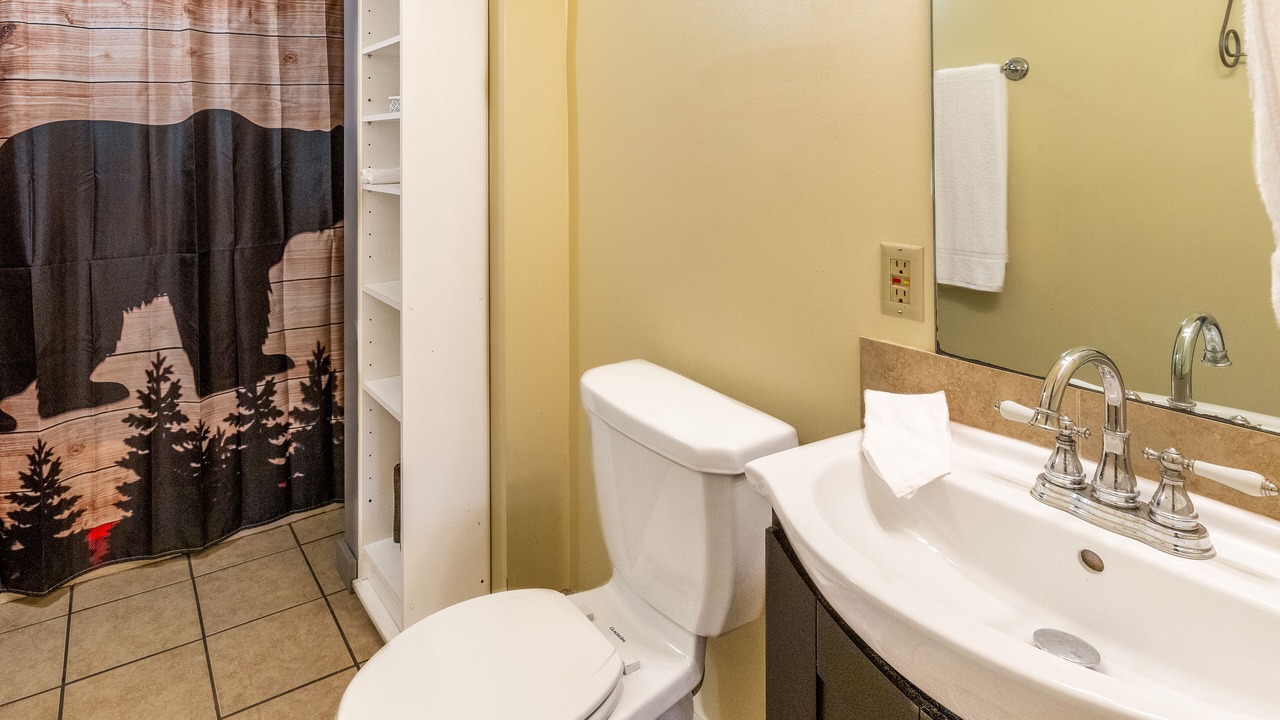 Photo of Bathroom in Sylva