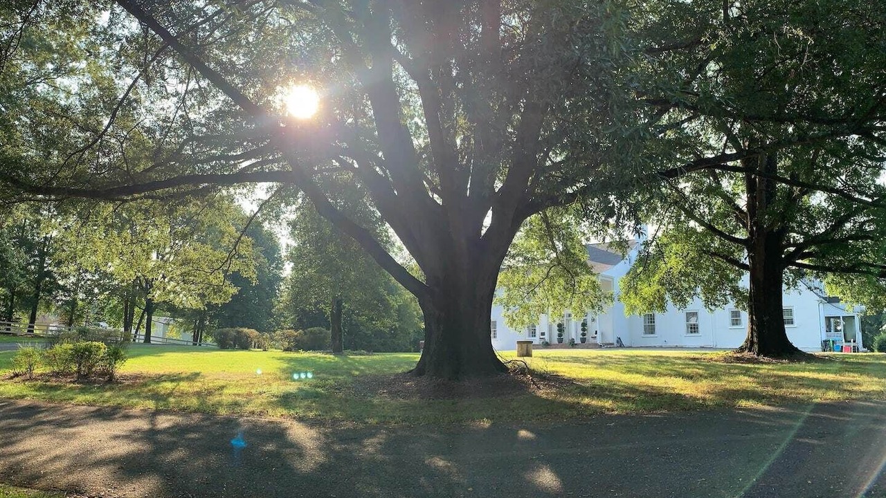 Photo of Outdoor in Mount Airy