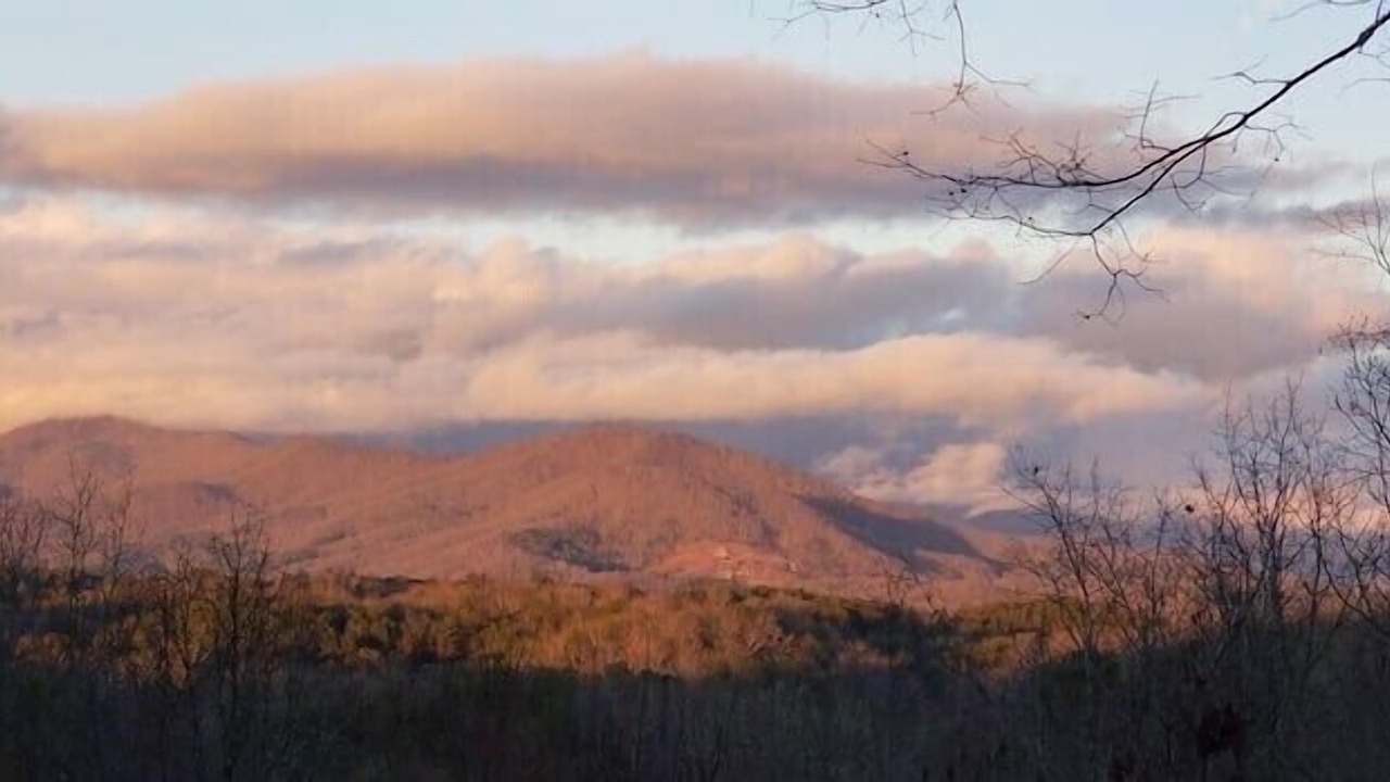 Photo of Others in Murphy