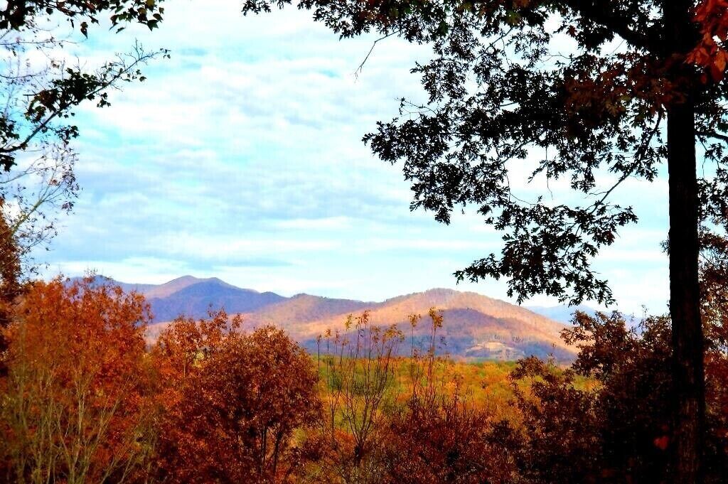 Photo of Outdoor in Murphy