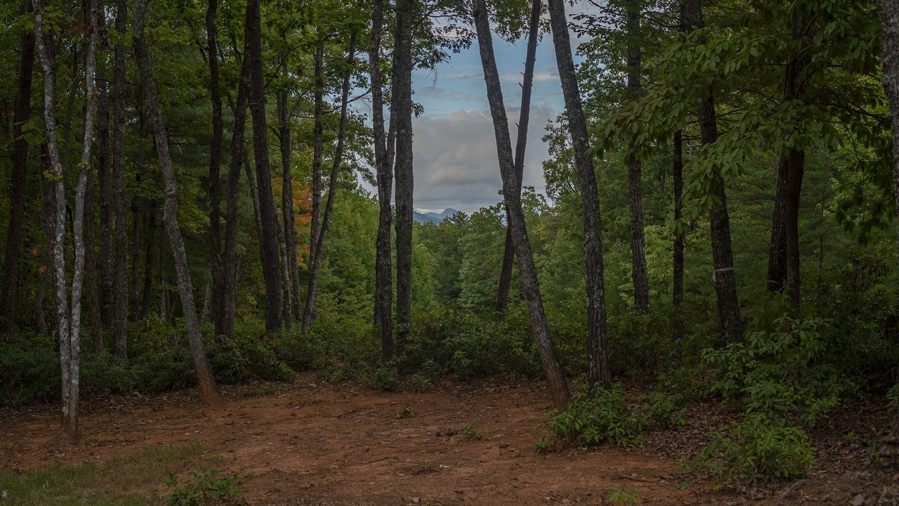 Photo of Outdoor in The Arbor