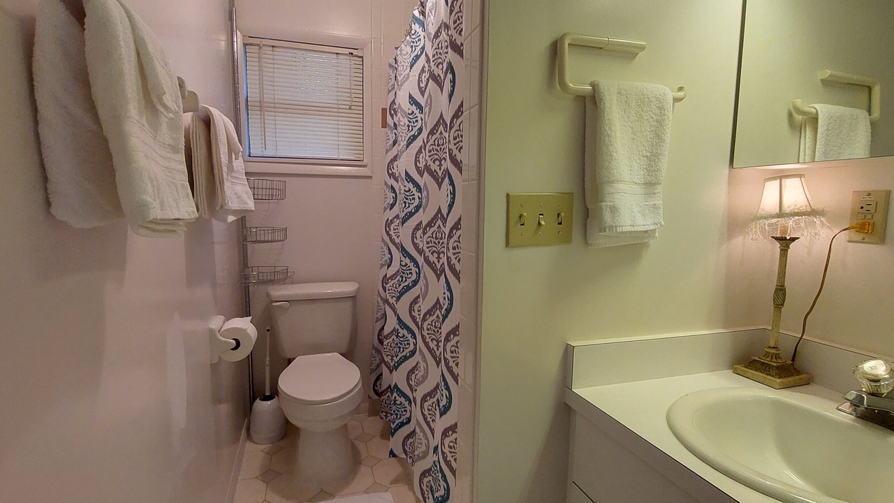 Photo of Bathroom in Santeetlah