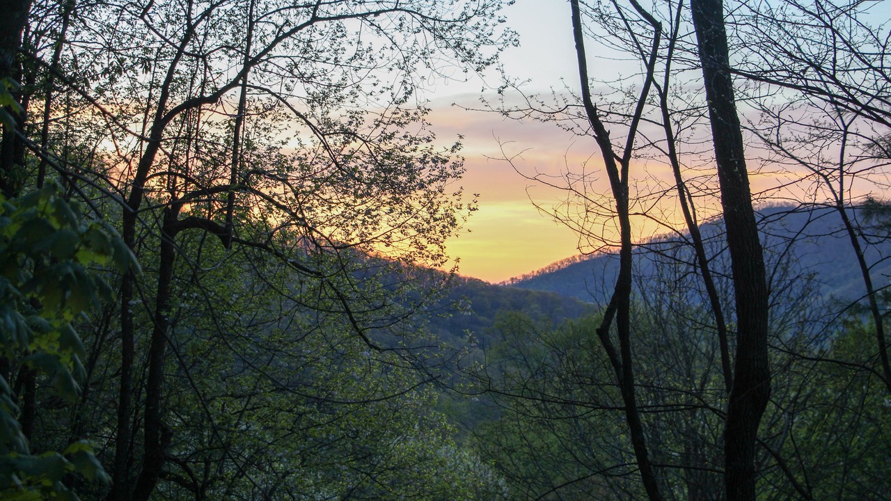 Photo of Outdoor in Maggie Valley