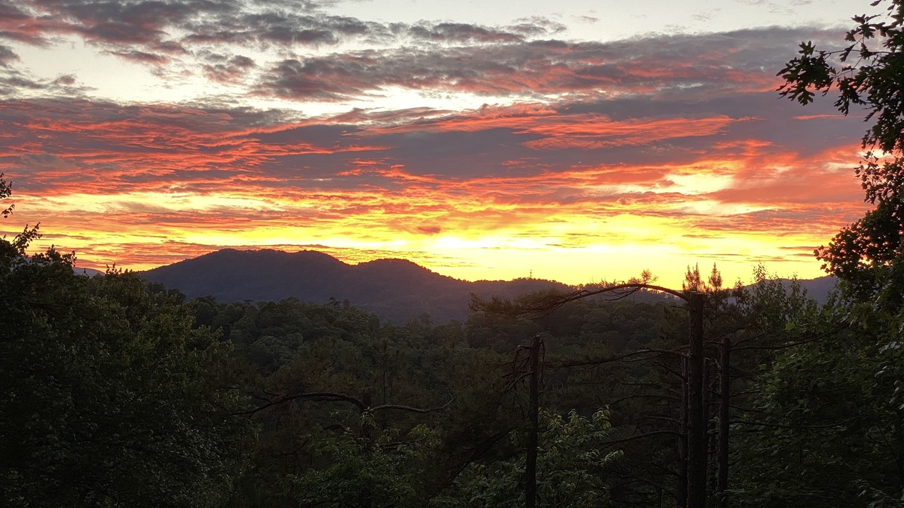 Photo of Others in Sylva